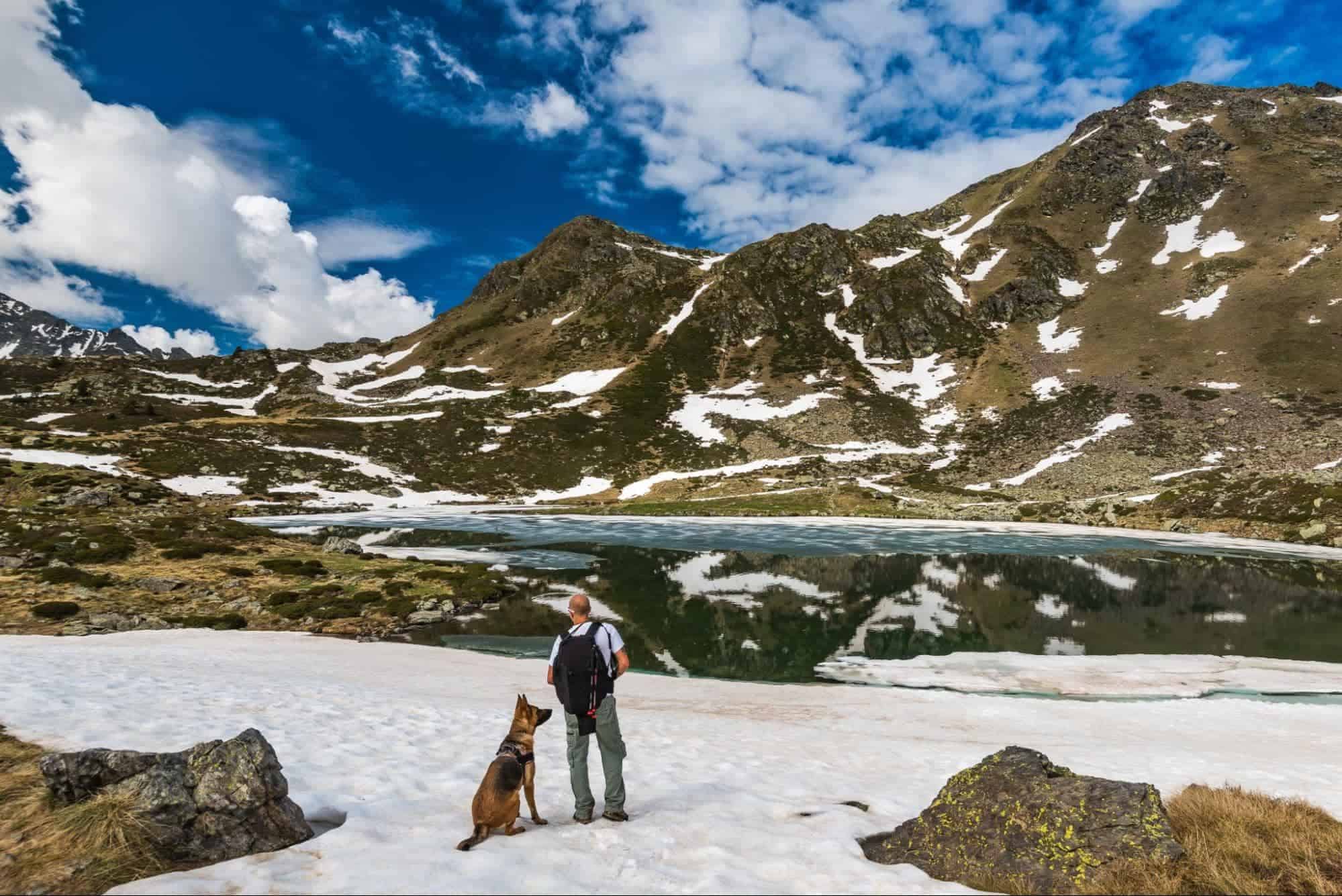 Things You Need To Know Before Hiking with Your Dogs