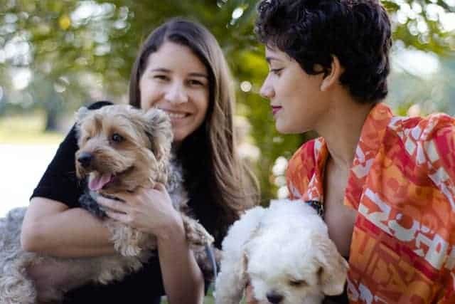 10 Best Hikes With Dogs In Los Angeles 1 Benefits of Hiking with Dogs