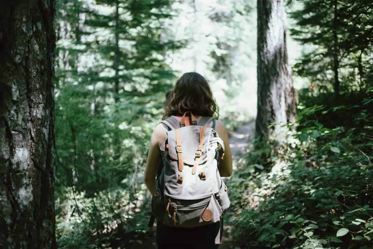 Walk first Walk first