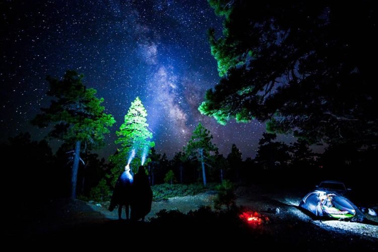 12 Steps To Finding The Best LED Tactical Flashlight 2 Natural ways of keeping bugs away when camping