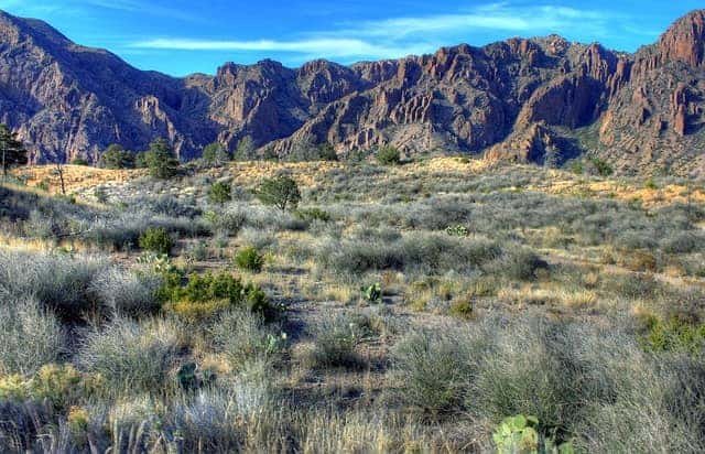 Best Texas State Parks For Hiking