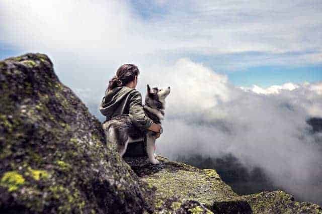 Preparing Your Dog for Hikes and Camping Trips 4 Be Prepared for Anything