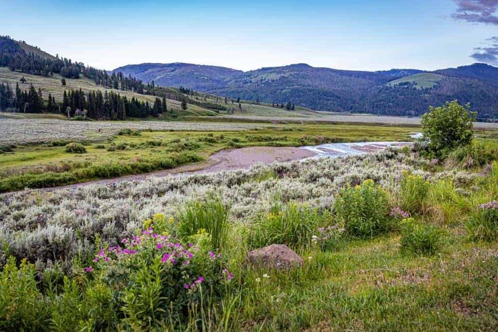 Yellowstone National Park, Wyoming, Montana, Idaho Yellowstone National Park Wyoming Montana Idaho