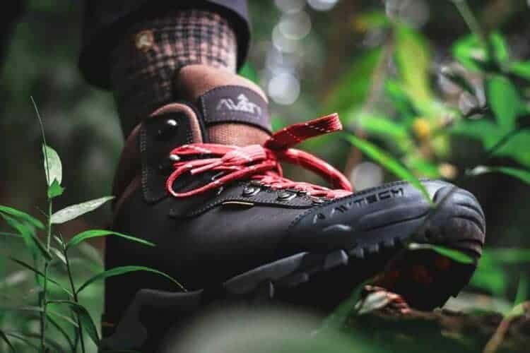 Ultimate Guide For Hiking & Camping Hiking Gear Lab