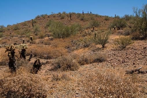 Apache Wash Hiking and Biking best hikes in scottsdale for family
