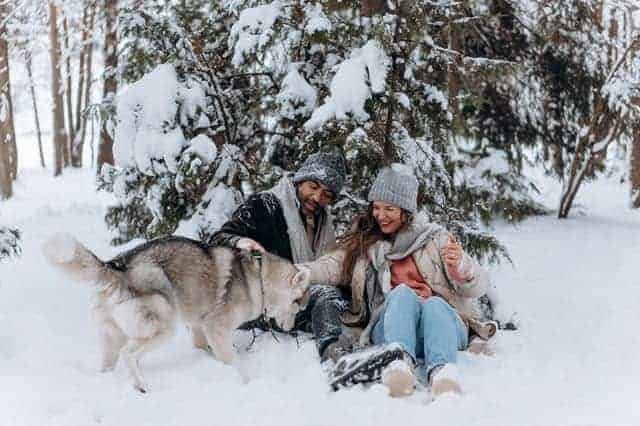 How Cold is Too Cold for Dog Camping? 1 How Cold is Too Cold for Dog Camping