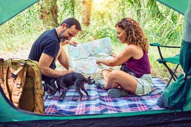 Tips for camping with dogs