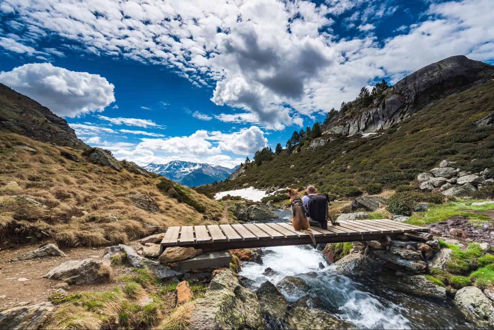 Wanderluster hiker sitting with dog in mountains Gearing Your Dog To Be Hike Ready