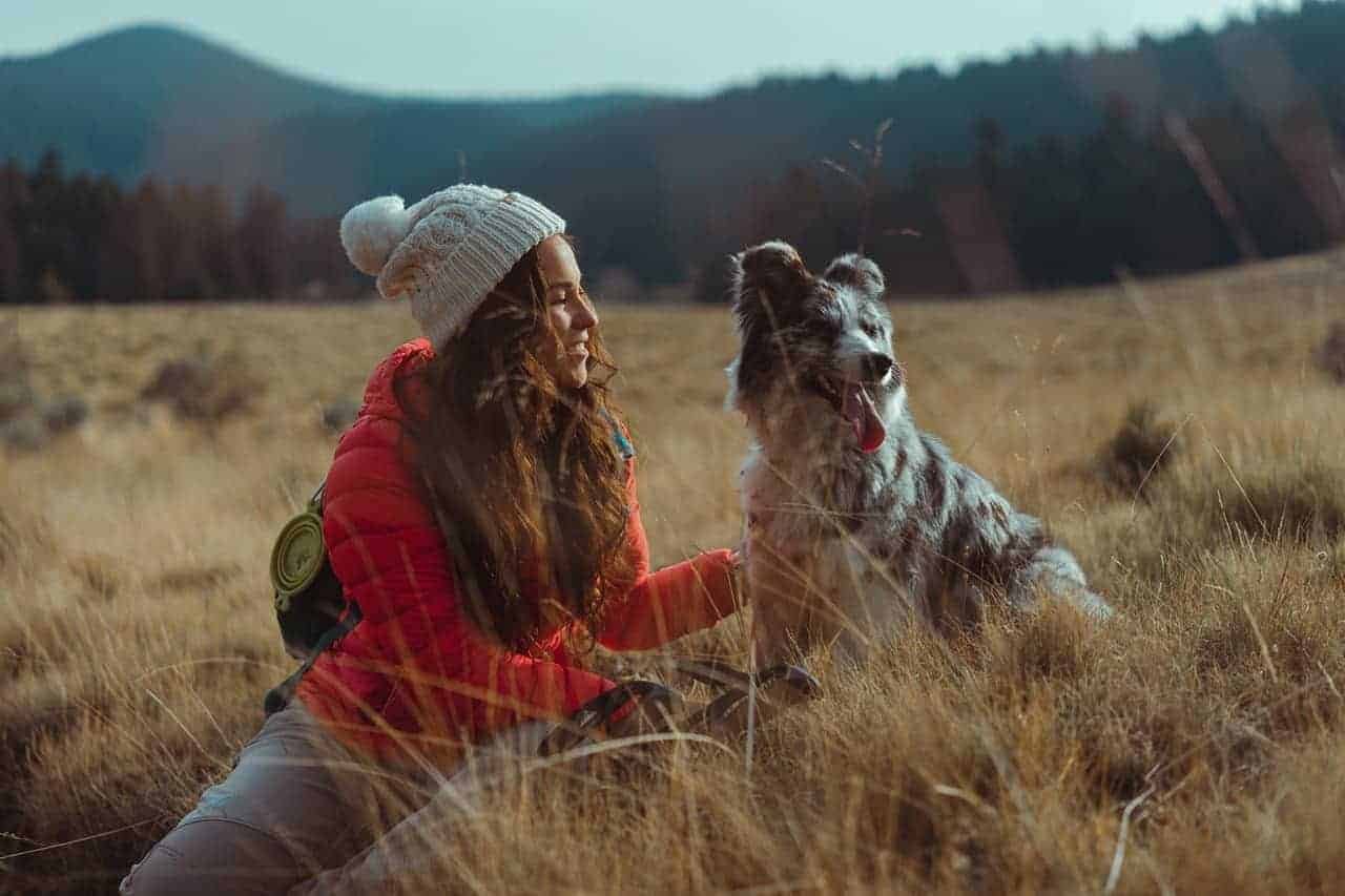 Do Dogs Need Hiking Gear 1 Do Dogs Need Hiking Gear