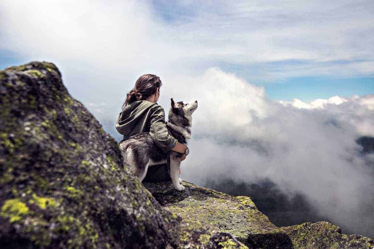 Top 5 Dog-Friendly Trails Dog Friendly Trails