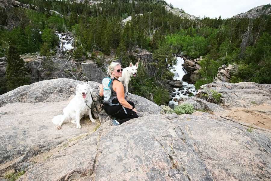 Dogs with hiking woman Dogs with hiking woman