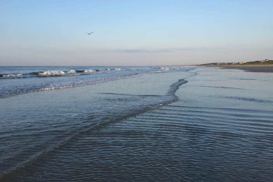 Best Places to Live Near The Beach In South Carolina 2 kiawah beach