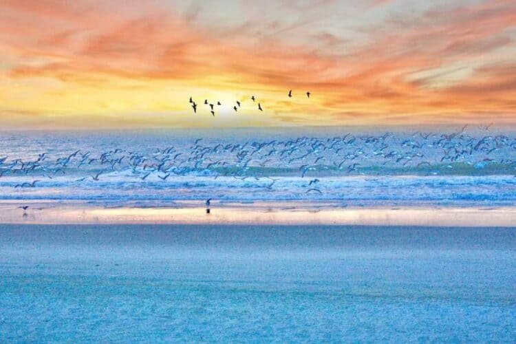 Beach Vs Mountains: 4 Ways to Plan Your Vacation Around Your Destination 3 myrtle beach