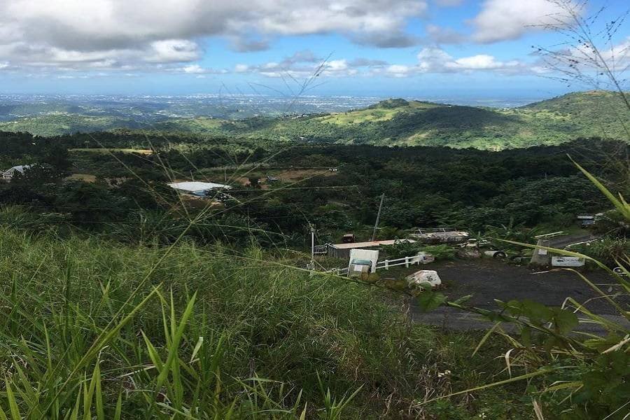 El Yunque National Forest