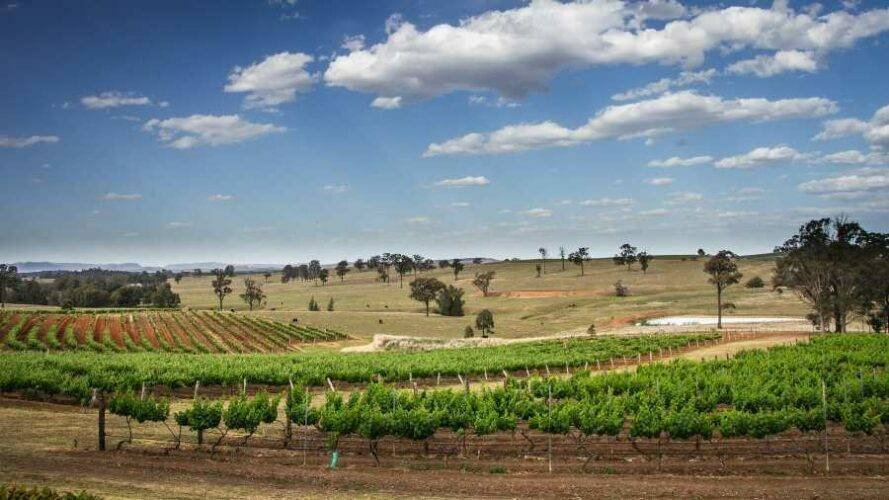 8 Best Day Trips From Sydney 3 Hunter Valley NSW Australia
