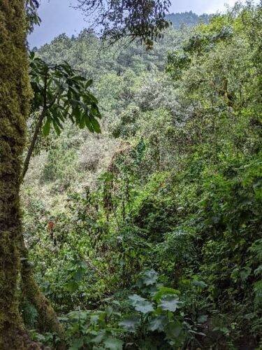 A Guide to Hiking Volcan de Acatenango 2 hiking up a volcano